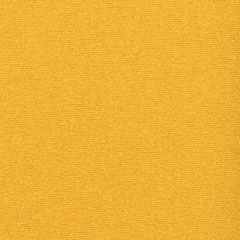 Coloris Jaune.jpg